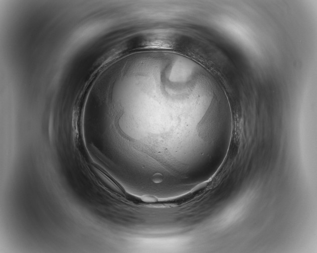 X0000088741487200705311438