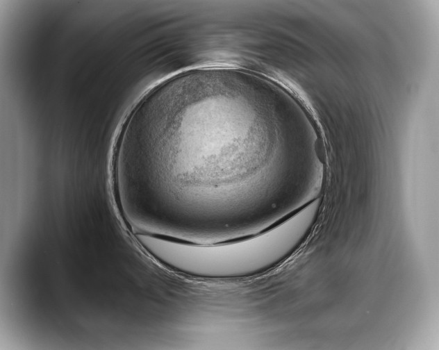 X0000088741488200705311438