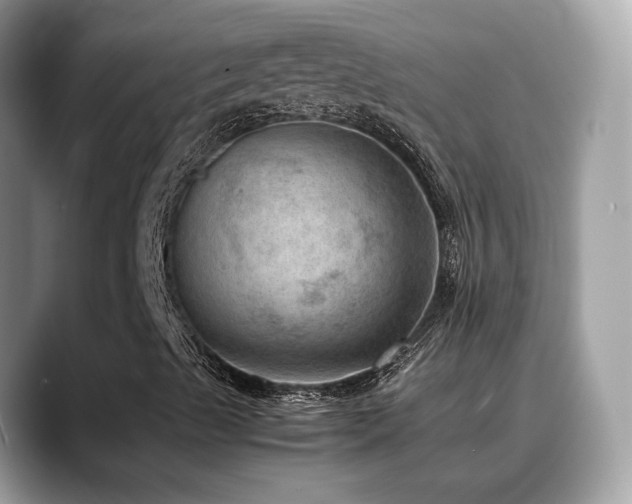 X0000088741489200705311437