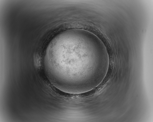 X0000088741490200705311437