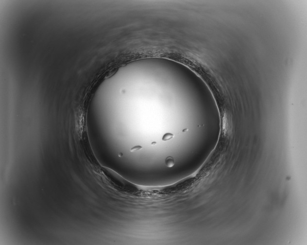 X0000088741492200705311437