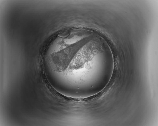 X0000088741494200705311438