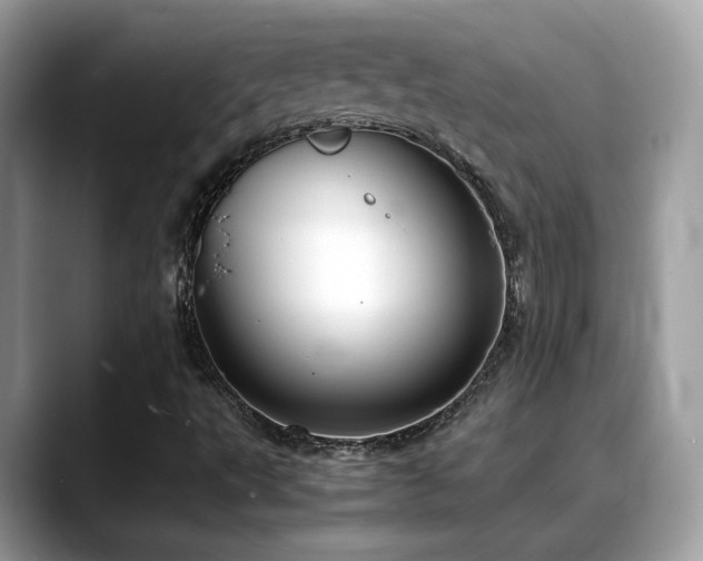 X0000088741495200705311438