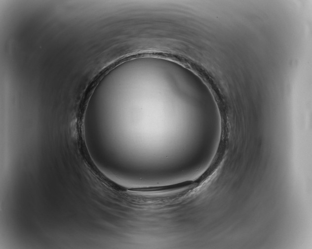 X0000088741497200705311438