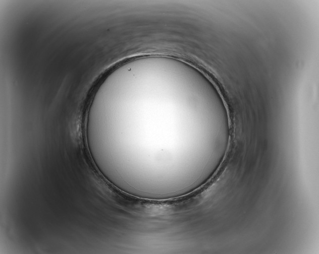 X0000088741498200705311438