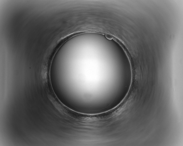 X0000088741499200705311438