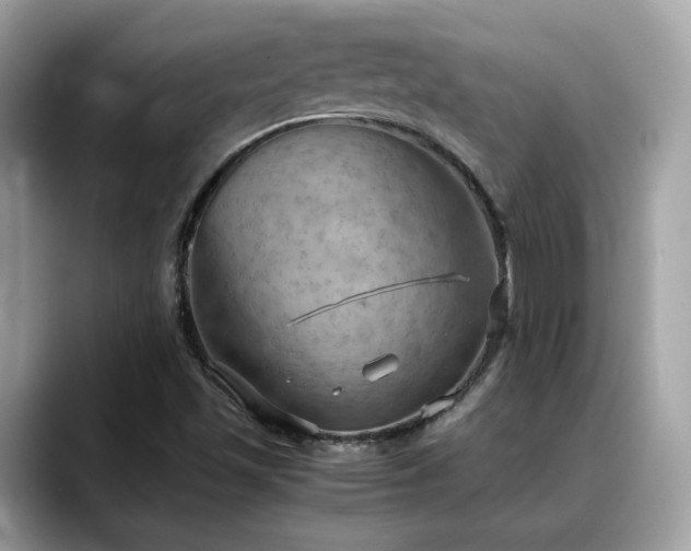 X0000088741501200705311438
