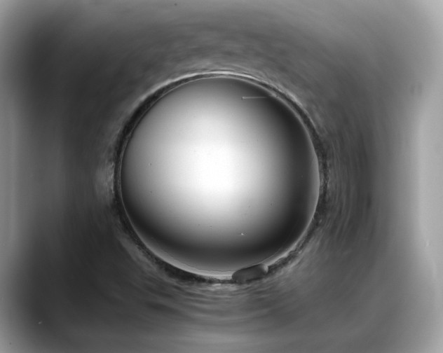 X0000088741503200705311438