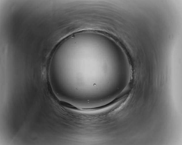 X0000088741505200705311438