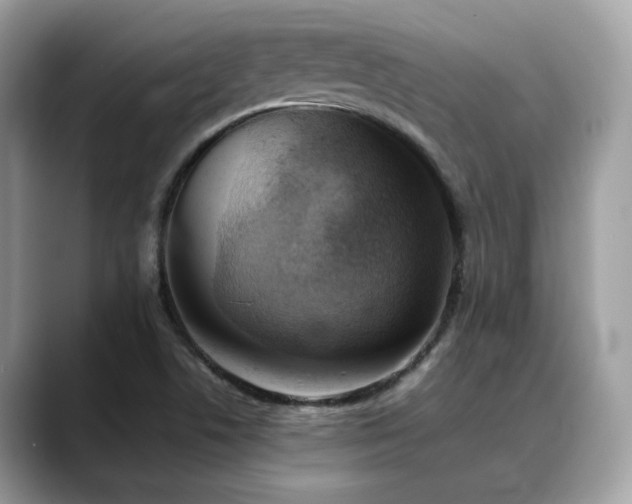 X0000088741506200705311438
