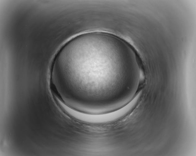 X0000088741508200705311438