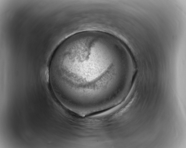 X0000088741509200705311438