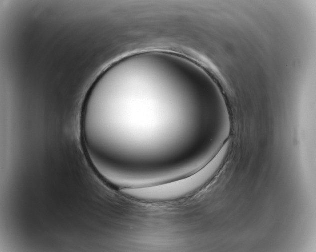 X0000088741512200705311438