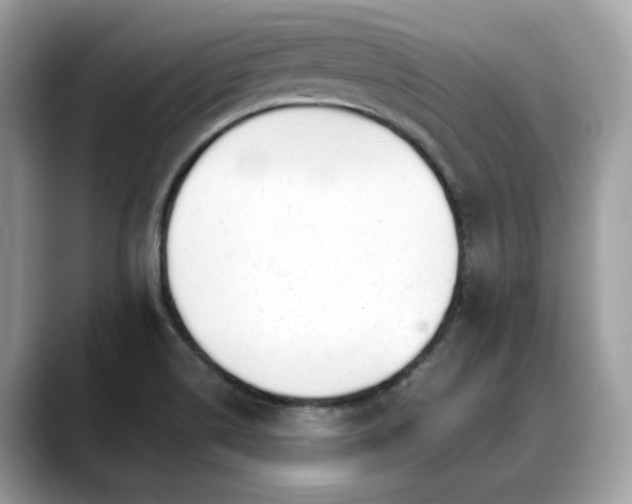 X0000088741514200705311438