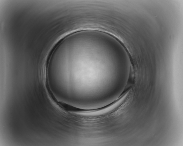 X0000088741515200705311438