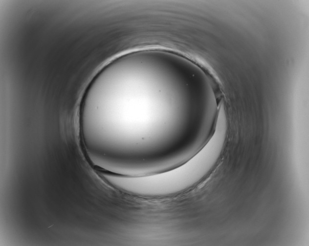 X0000088741516200705311438