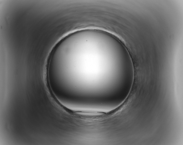 X0000088741518200705311438