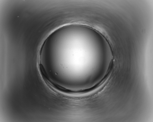 X0000088741520200705311438