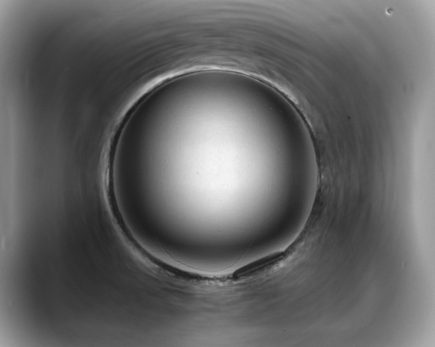 X0000088741523200705311438