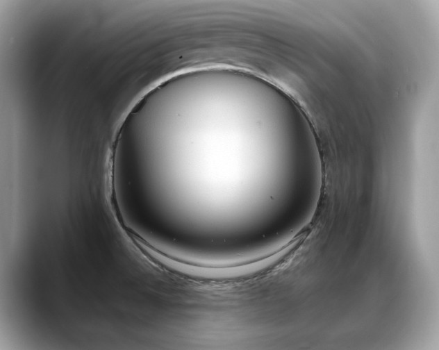X0000088741524200705311438