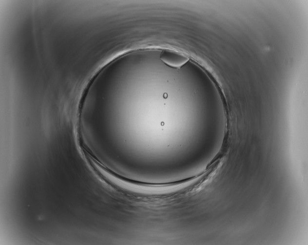X0000088741525200705311438