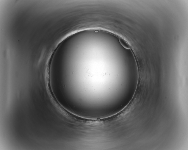 X0000088741526200705311438