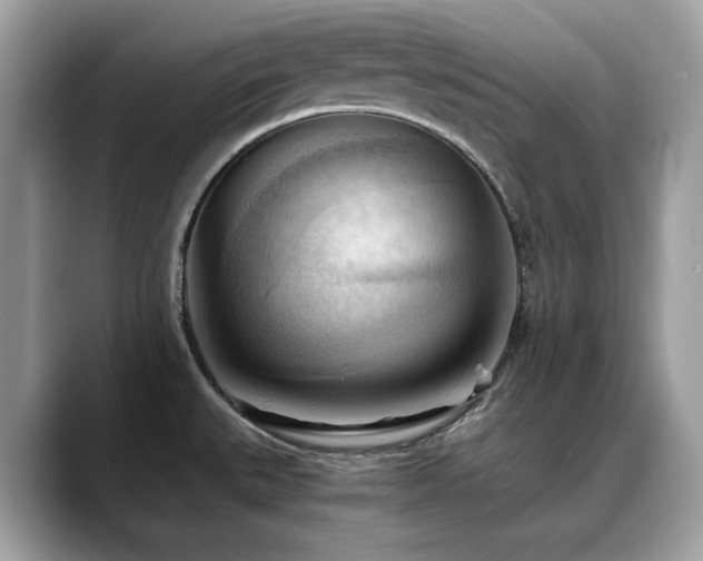 X0000088741527200705311438
