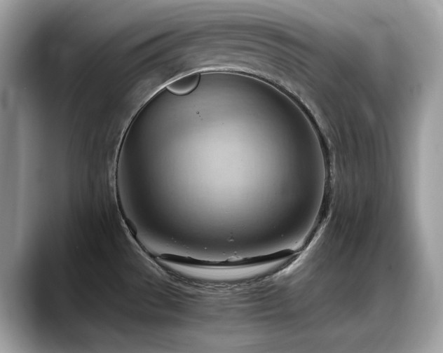 X0000088741529200705311438