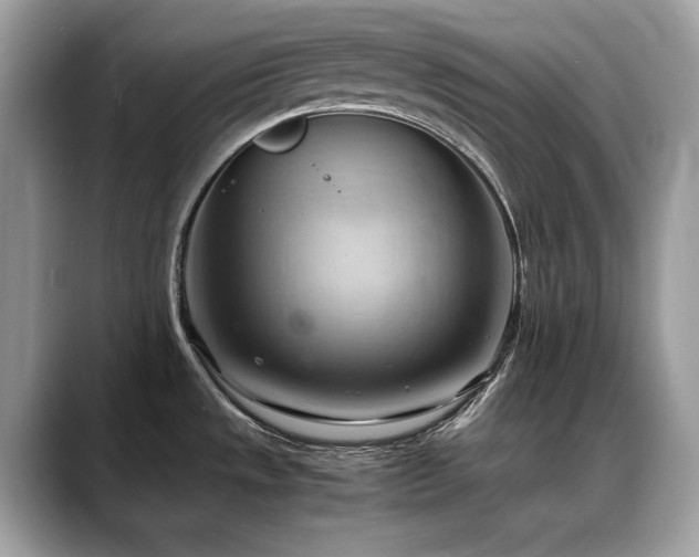 X0000088741533200705311438