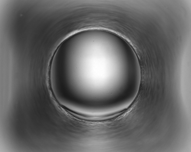X0000088741534200705311438