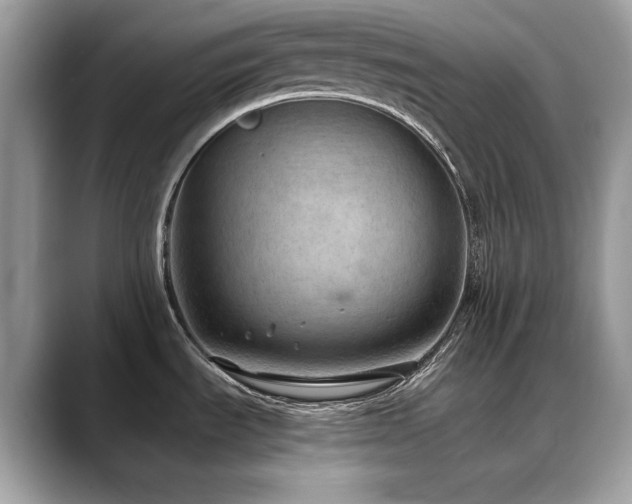 X0000088741535200705311438
