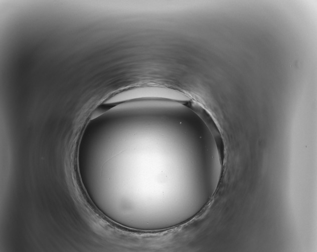 X0000088740001200706071709