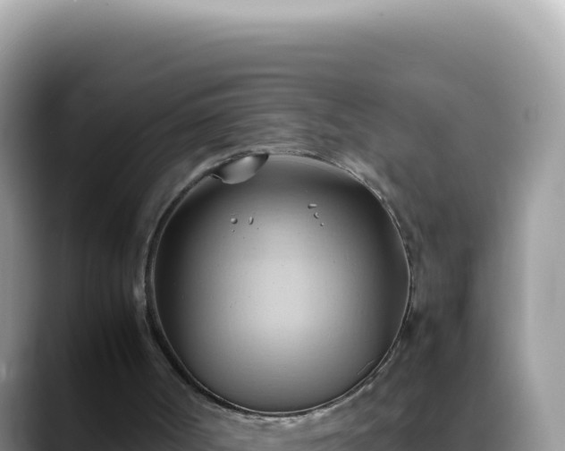 X0000088740002200706071709