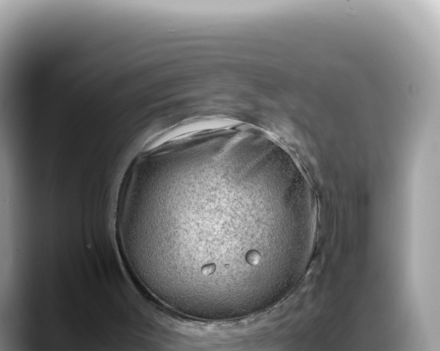 X0000088740003200706071709