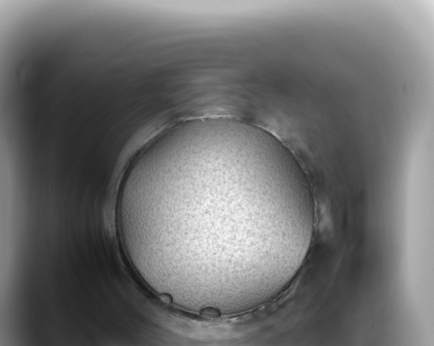 X0000088740004200706071709