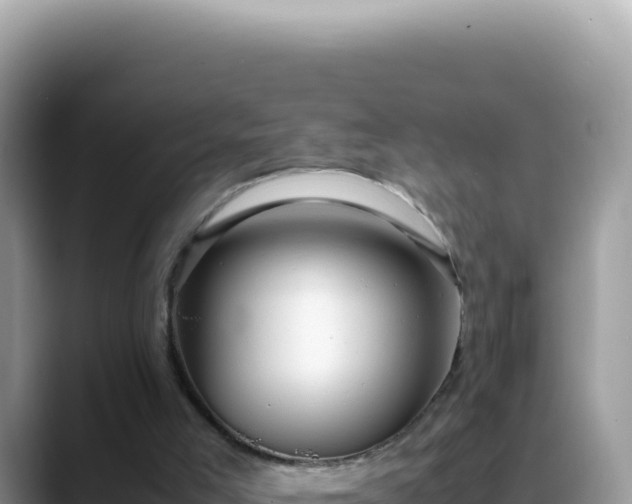 X0000088740005200706071709