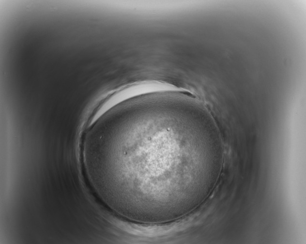 X0000088740006200706071709