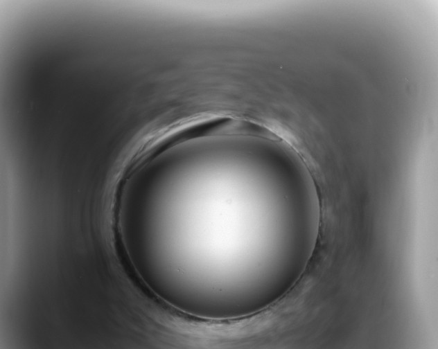 X0000088740007200706071709