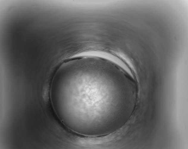 X0000088740009200706071709