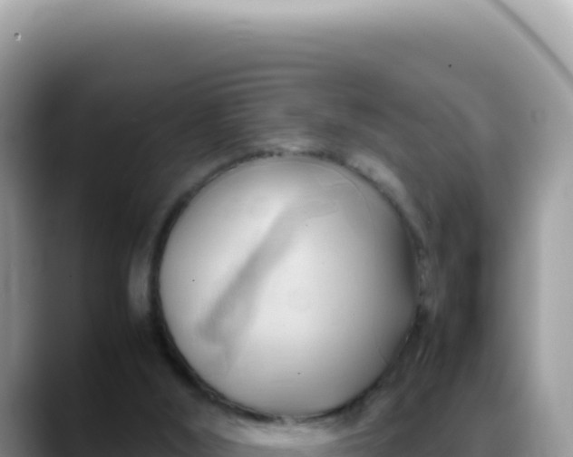 X0000088740012200706071709