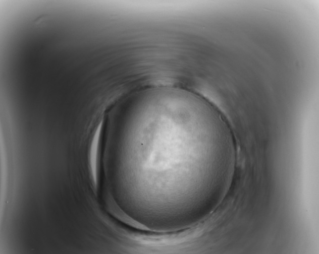X0000088740013200706071709