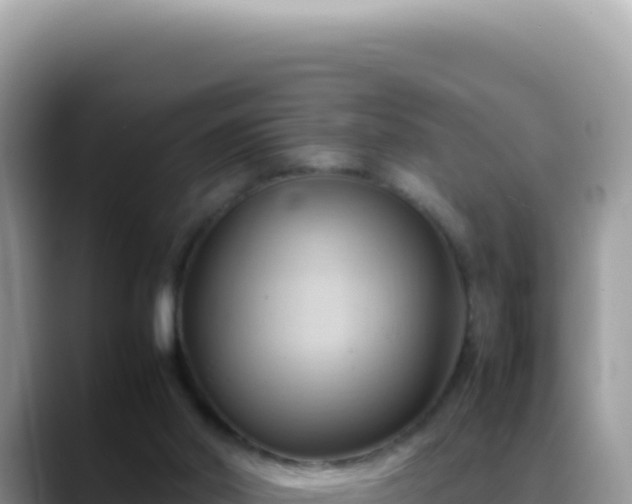 X0000088740014200706071709