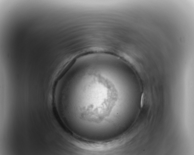 X0000088740015200706071709