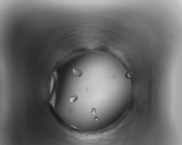 X0000088740018200706071709