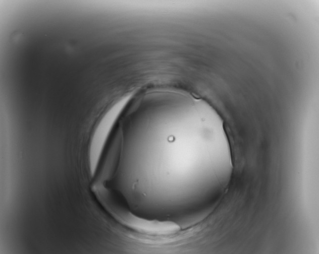 X0000088740019200706071709
