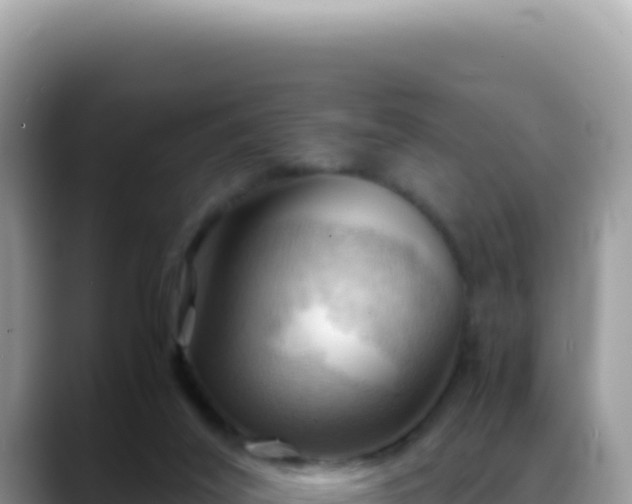 X0000088740020200706071709