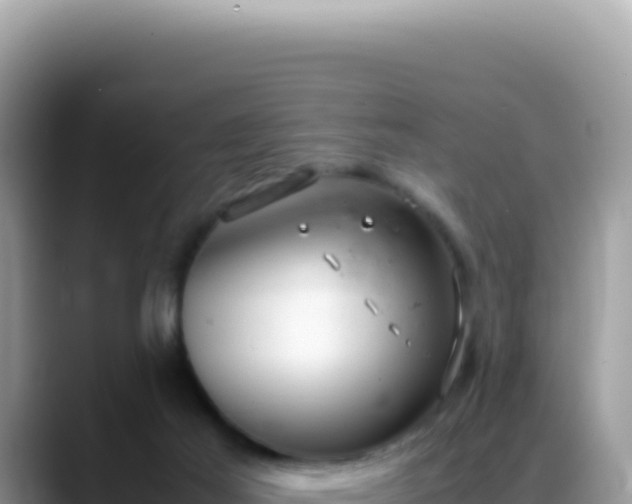 X0000088740021200706071709