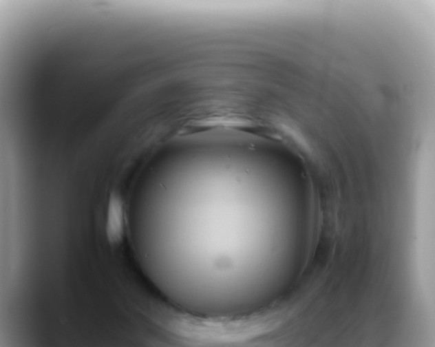 X0000088740022200706071709