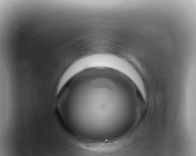 X0000088740023200706071709