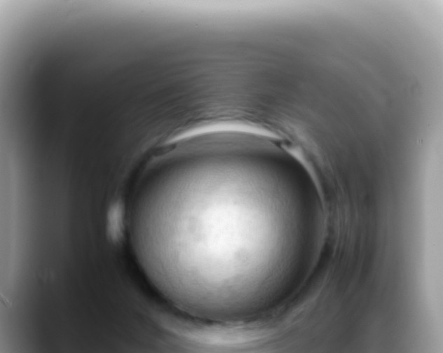 X0000088740024200706071709
